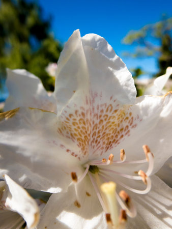 Okanagan Scenicsの写真素材