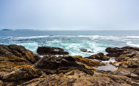 pacific ocean shoreline