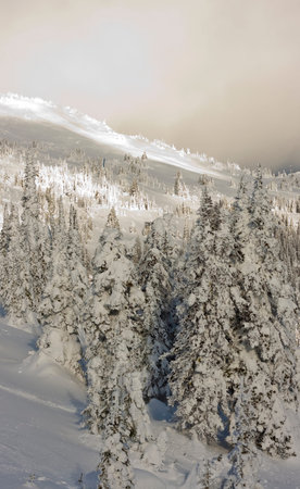 winter ski resort viewの写真素材