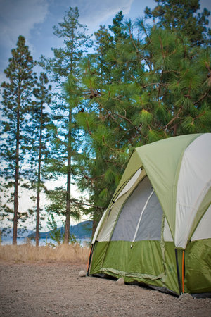 camper's tent set up in wilderness area
