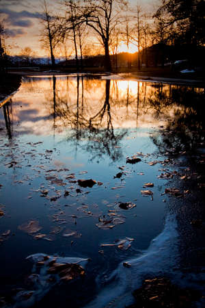 scenic reflections in a small pond in winterの写真素材