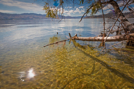 lake okanagan view in summer sunny dayの写真素材