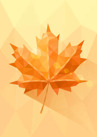 Yellow orange low maple leafのイラスト素材