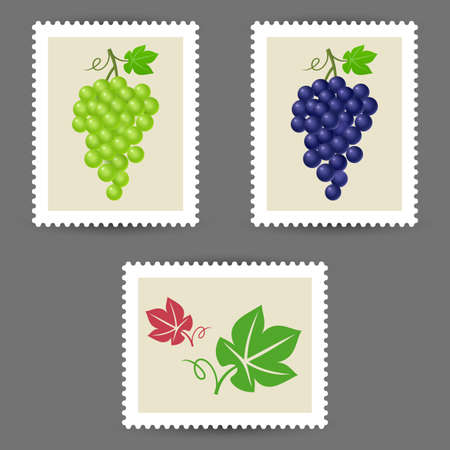 Vector postage stamps with grape bunch iconsのイラスト素材