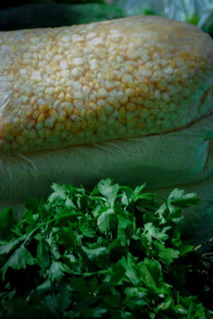 Organic cultivation of natural foods such as pumpkins and legumesの写真素材