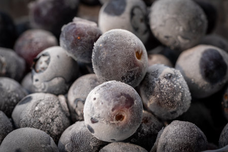 Macro shot of blueberries at freezing point, covered with frost. Natural preservation process showing freshness, texture, and cold detail of organic fruit.の写真素材