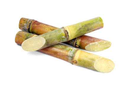 Cane, Sugarcane piece fresh, sugar cane on white backgroundの写真素材