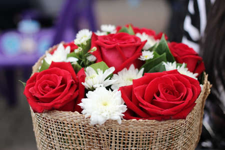 Red Roes Valentineの写真素材