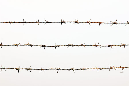 Rusty barbed wire detention center isolated on white