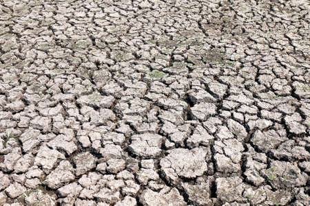 cracks soil texture for background (selective focus)の写真素材