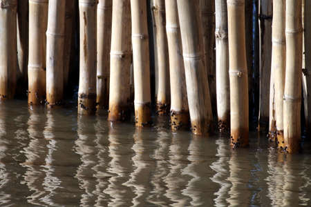 Bamboo wall sticks at water surface (selective focus)の写真素材