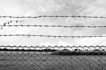 Barbed wire imprison, detention center, incarcerate, at countryside and background gray color styleの写真素材