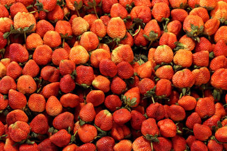 Strawberry fresh background pattern, Strawberry market farm, Red pink Strawberryの写真素材