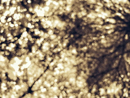 Abstract blurred rough texture bokeh lighting shine under tree, glitter dark blur, Vintage color country style blown yellow gold dark background, Halloween night background with convey the horrorの写真素材