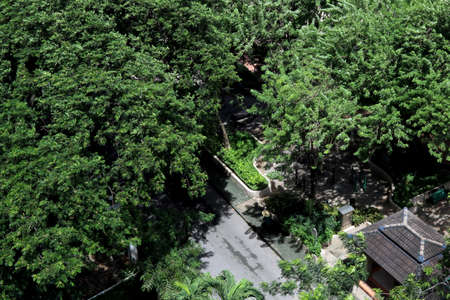 public garden, top view public park garden for backgroundの写真素材