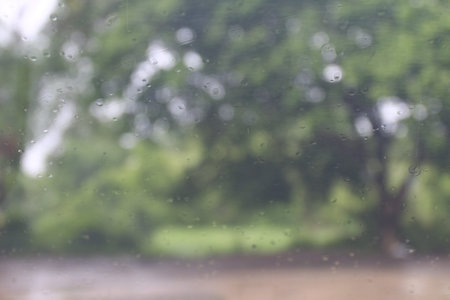 Rainy season, Splash Rain droplets Natural Water Drops on Glass Window in Rainy Season tree background, Rain mist drizzle, Rain drizzlingの写真素材