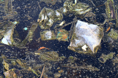 Dirty water, Garbage moss in the sewage, Rotten waste water, Industrial water pollution, Waste in...