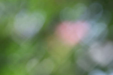 Background bokeh heart shaped soft light green blurry pastel color, Valentine graphic abstract art bright beautiful backgroundの写真素材