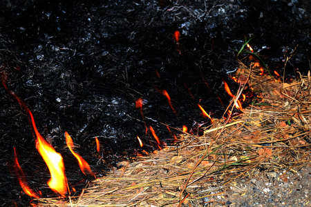 Fire, Fire burning hay (Selective focus)の写真素材