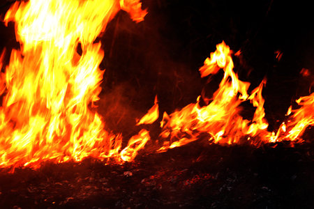 Fire, Forest fire at night, Fire burning hay (Selective focus)