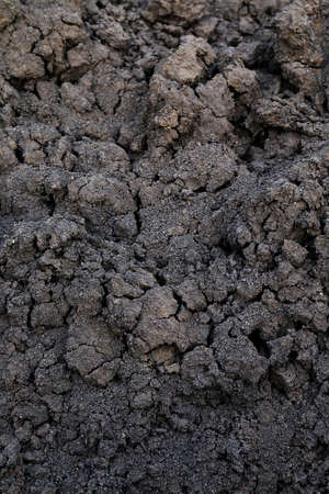 Background of soil humus, Black clay soil texture, Soil organic for plantingの写真素材
