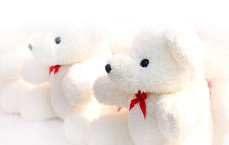 Background Teddy Bear white soft blur (Selective focus)の写真素材