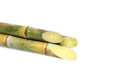 Sugarcane, Cane, Sugarcane piece fresh, sugar cane on white background, Sugarcane agricultureの写真素材