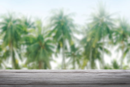 background coconut and wood plank, coconut palm tree background blurred and slats wooden texture...