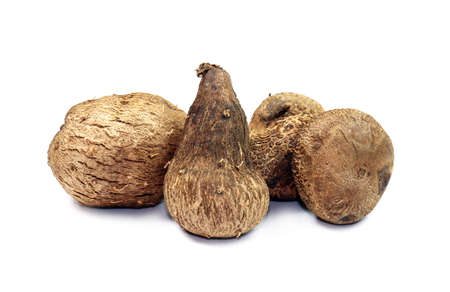 Dioscorea, Mun-Neb (Thai word), Fresh Dioscorea tuck, Dioscorea slats root isolated on white background, Rubeola fotografieの写真素材