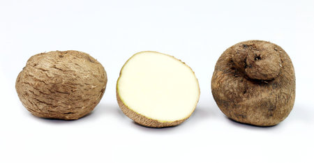 Dioscorea, Mun-Neb (Thai word), Fresh Dioscorea tuck, Dioscorea slats root isolated on white background, Rubeola fotografieの写真素材