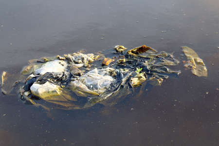 Dirty waste plastic bags on the surface water, Waste plastic bags do not Decomposed garbage, polluting nature ecological water dirty, Waste water, Rotten water backgroundの写真素材