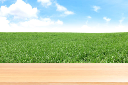 empty wood table floors on sugarcane field plantation background, wood table board empty front sugar...