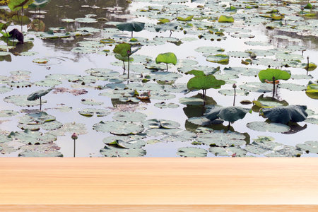 empty wood table floors on lotus pad in pond garden farm background, wood table board empty front...