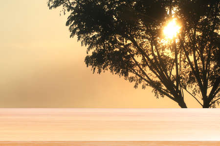 wood plank on sunset and blurred tree background, empty wood table floors on tree sunset sun shine or mornings, wood table board empty front grass and sky and tree sunset yellow gold colorの写真素材