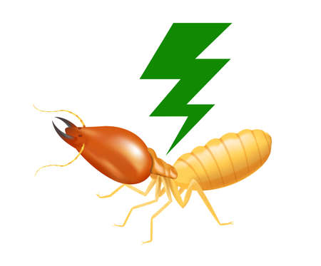 termite with thunder symbol green isolated on white background, logo insects termite and thunder flash, termite thunder symbol for flat icons info graphic, termites icon for chemical spray productsのイラスト素材