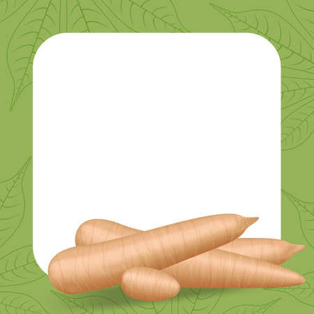 banner frame of cassava fresh for copy space, cassava cut slice for tapioca flour industry or ethanol, pile yucca cassava tuber on frame, raw manioc cassava on template banner green background emptyのイラスト素材