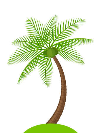 coconut tree simple isolated on white, illustration coconut palm tree, coconut tree for clip art, palm tree on small hill islandのイラスト素材