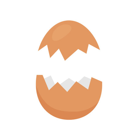 opened egg with broken shell isolated on white, chicken eggs brown broken and open, clip art cracked...