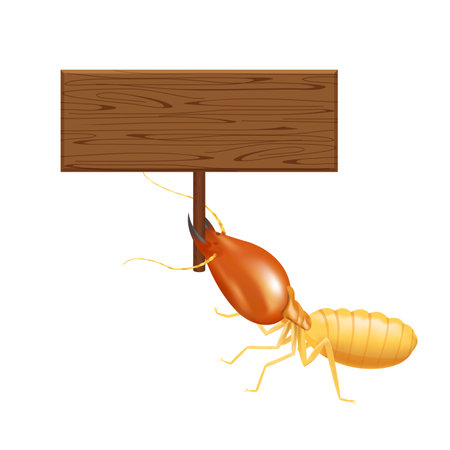 termite, clip art termites and wooden signs isolated on white background, insect species termite ant...