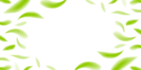 blur fallen leaves green fresh, leaf fall for natural banner background, flying leaf on white, copy spaceのイラスト素材
