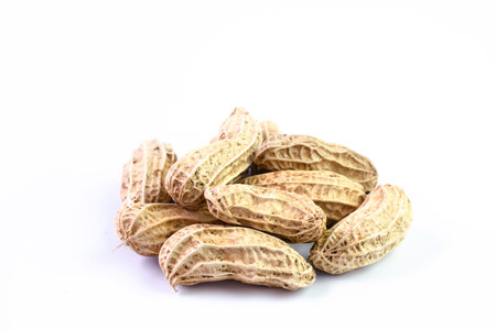 peanut, dried groundnuts, monkey nut on white background