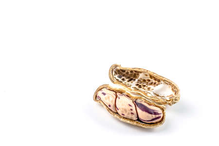 peanut, dried groundnuts, monkey nut on white backgroundの写真素材