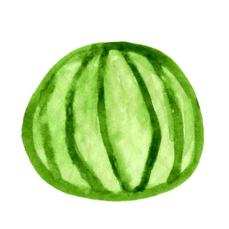 watermelon watercolor kids art, watermelon clip art media, children hand draw conceptの写真素材