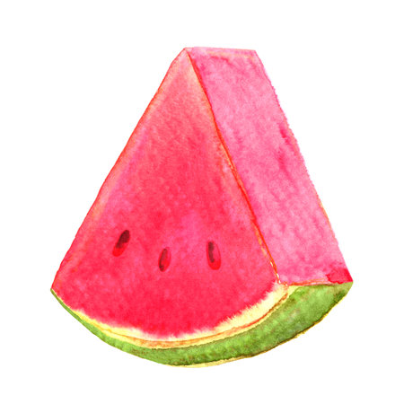 watermelon slice watercolor isolated on white, watermelon hand drawn for sticker and clip artの写真素材