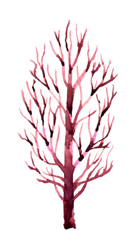 bare tree branches watercolor, branches of old tree, bare tree watercolor, dry tree branchesの写真素材