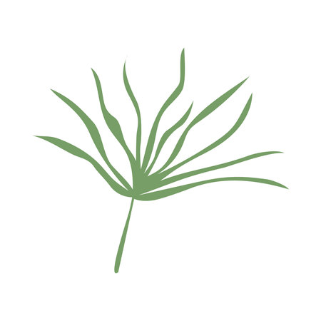 simple leaves, leaf graphic green colorのイラスト素材