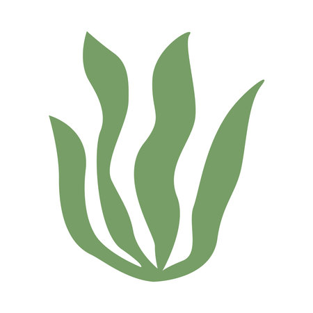 green seaweed simple shape, seaweed leaf graphic