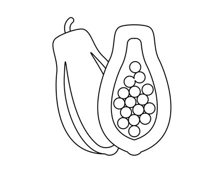 papaya outline for coloring book template, papaya for kids illustration worksheet printableのイラスト素材