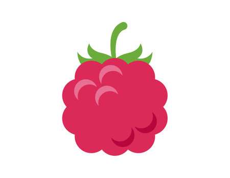 raspberry illustration for coloring book template, raspberry for kids worksheet printableのイラスト素材