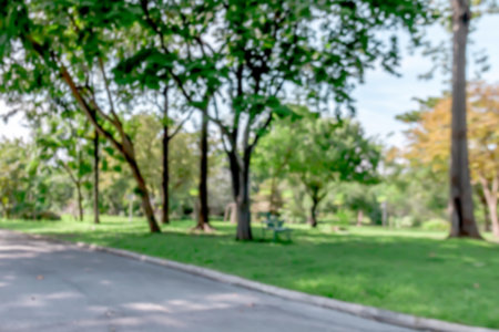 blur park garden with bokeh tree in nature background, blurry green bokeh light outdoor in summer backgroundの写真素材